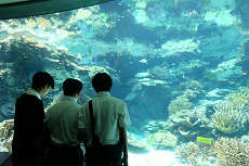 水族館