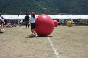 大玉ころがし