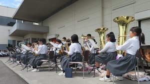 保3