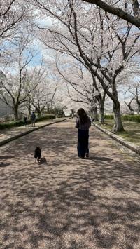 写真展３