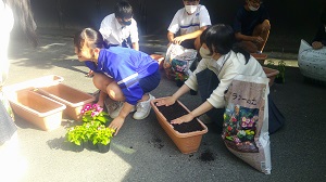 花1