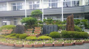花4