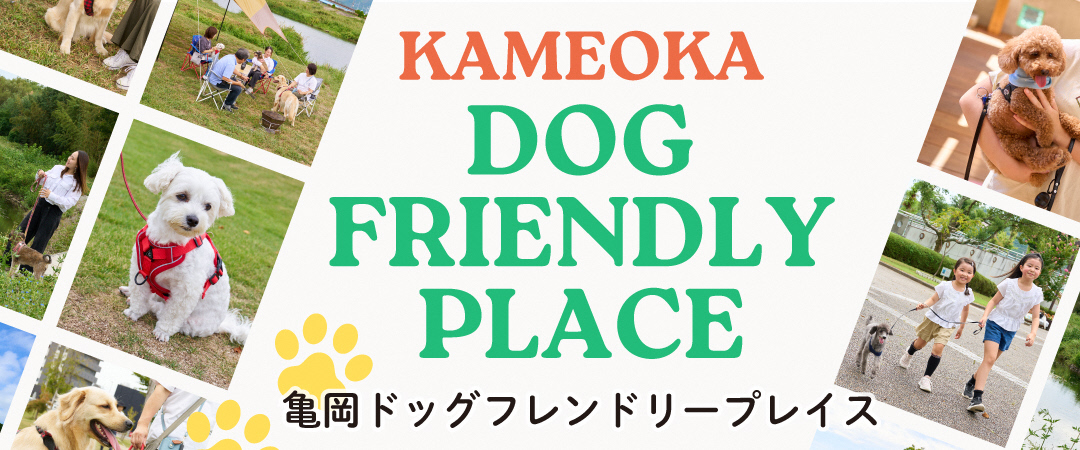 ドッグフレンドリープレイスのイメージ