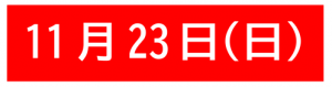 11月23日(日)