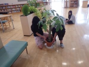 花植え　3