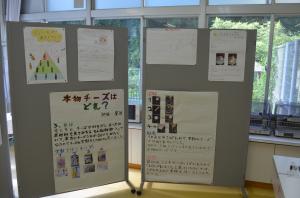 展示7
