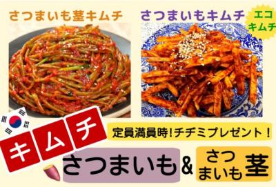 チラシ画像