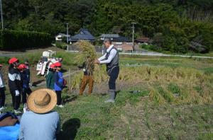 稲刈り1