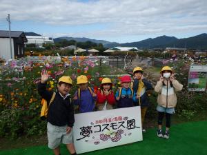 コスモス園1