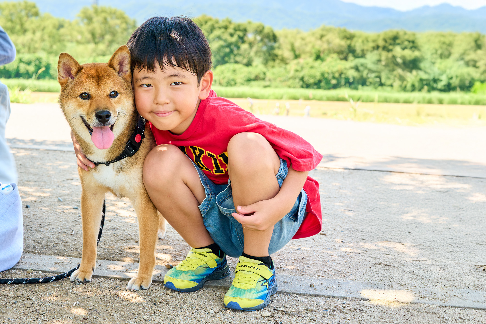 柴犬と子ども