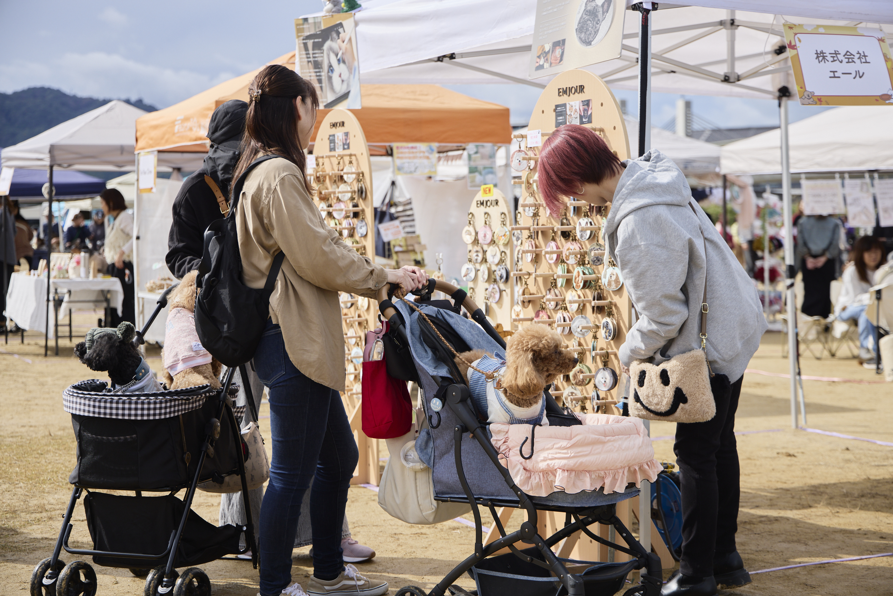 犬のグッズを選ぶ飼い主