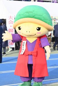 かめまるくん画像