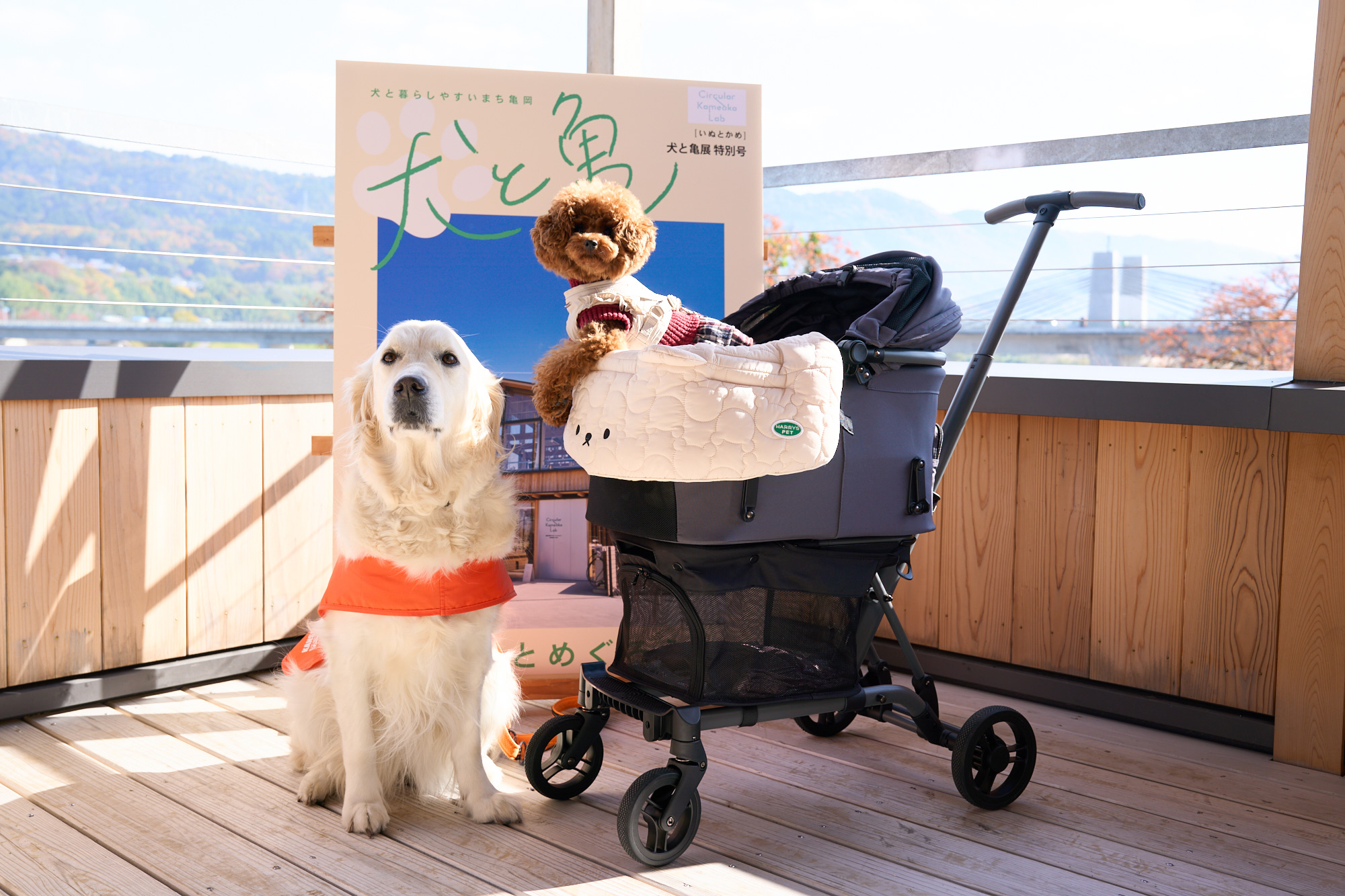 フォトスポット