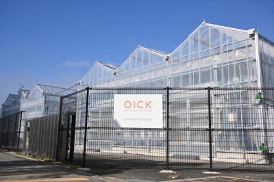 最新技術で野菜を栽培するオイックのスマートアグリハウス