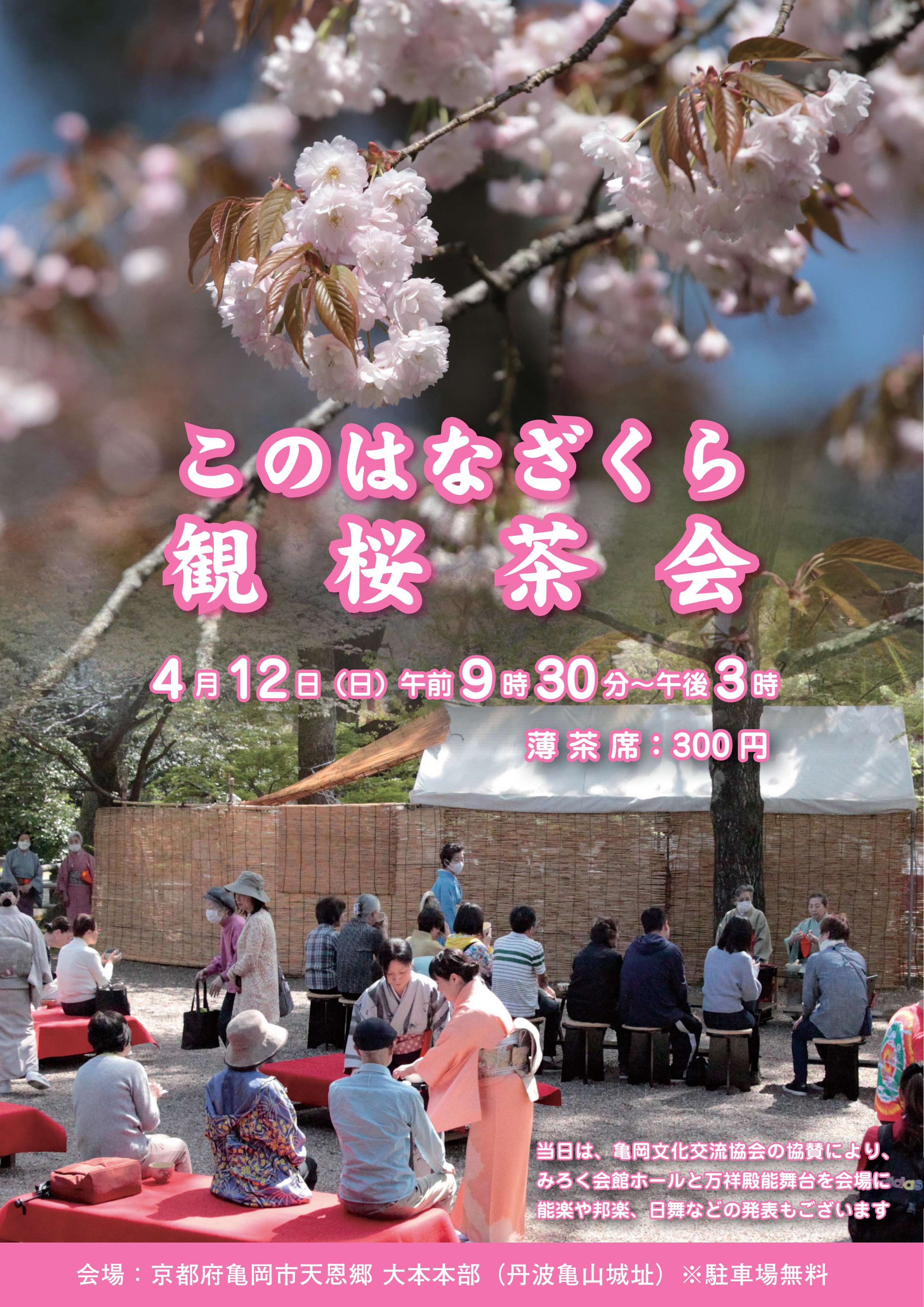 観桜茶会