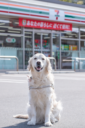 一日店長犬イメージ写真