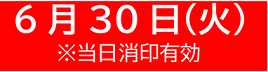 6月30日(火)※当日消印有効