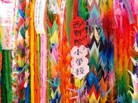 修学旅行4