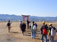 修学旅行7