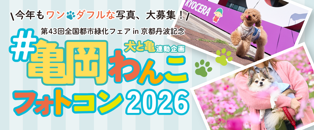 フォトコンテストイメージ画像