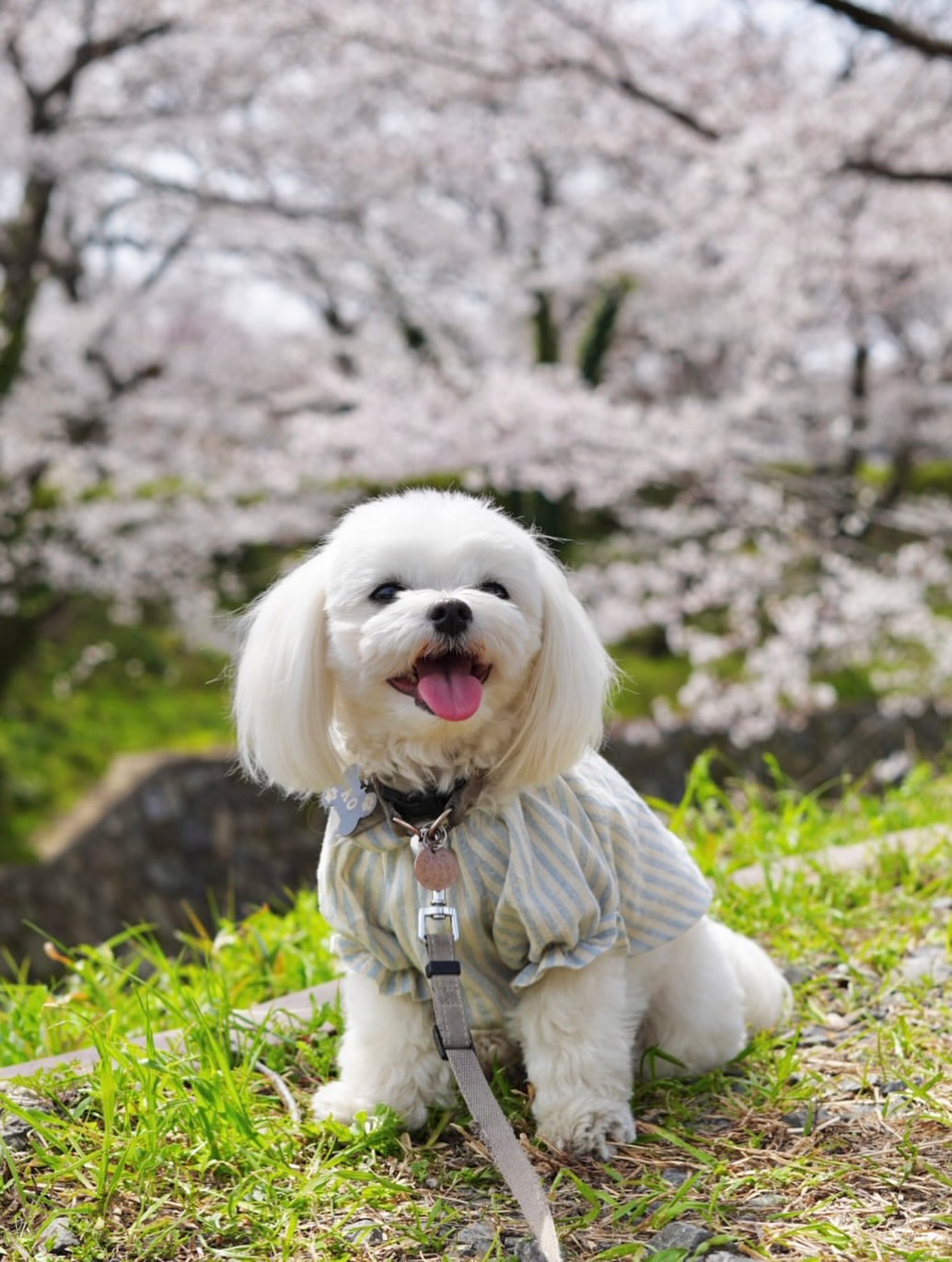 蒼ちゃん