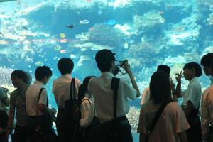 修学旅行2