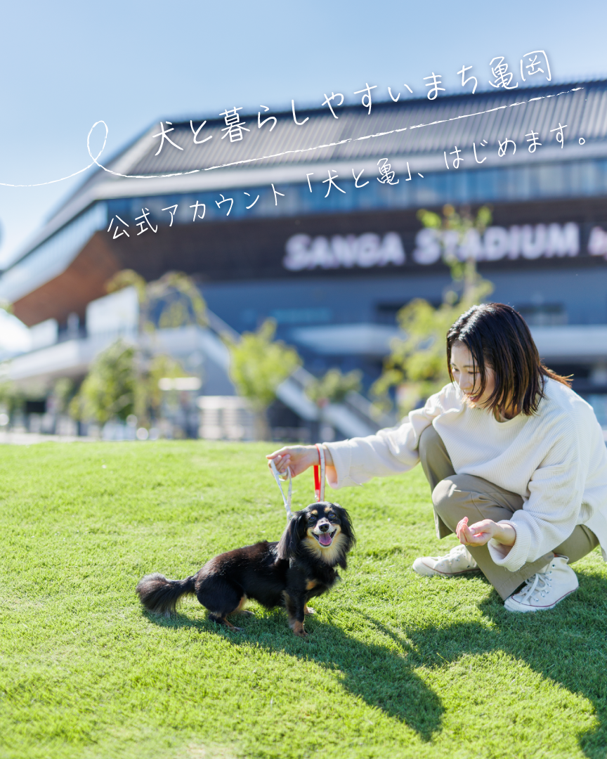 犬と亀公式インスタグラムの開設