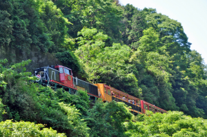 トロッコ列車
