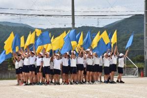flags