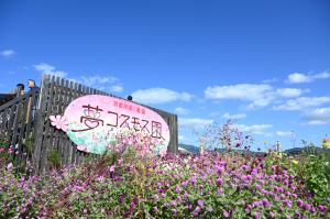 展望台