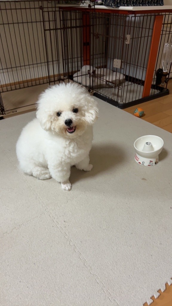もんじゃちゃん