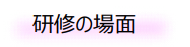 研修の場面