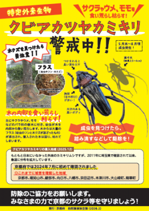 クビアカツヤカミキリ
