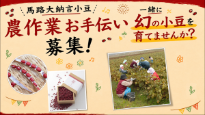 サムネイル画像②