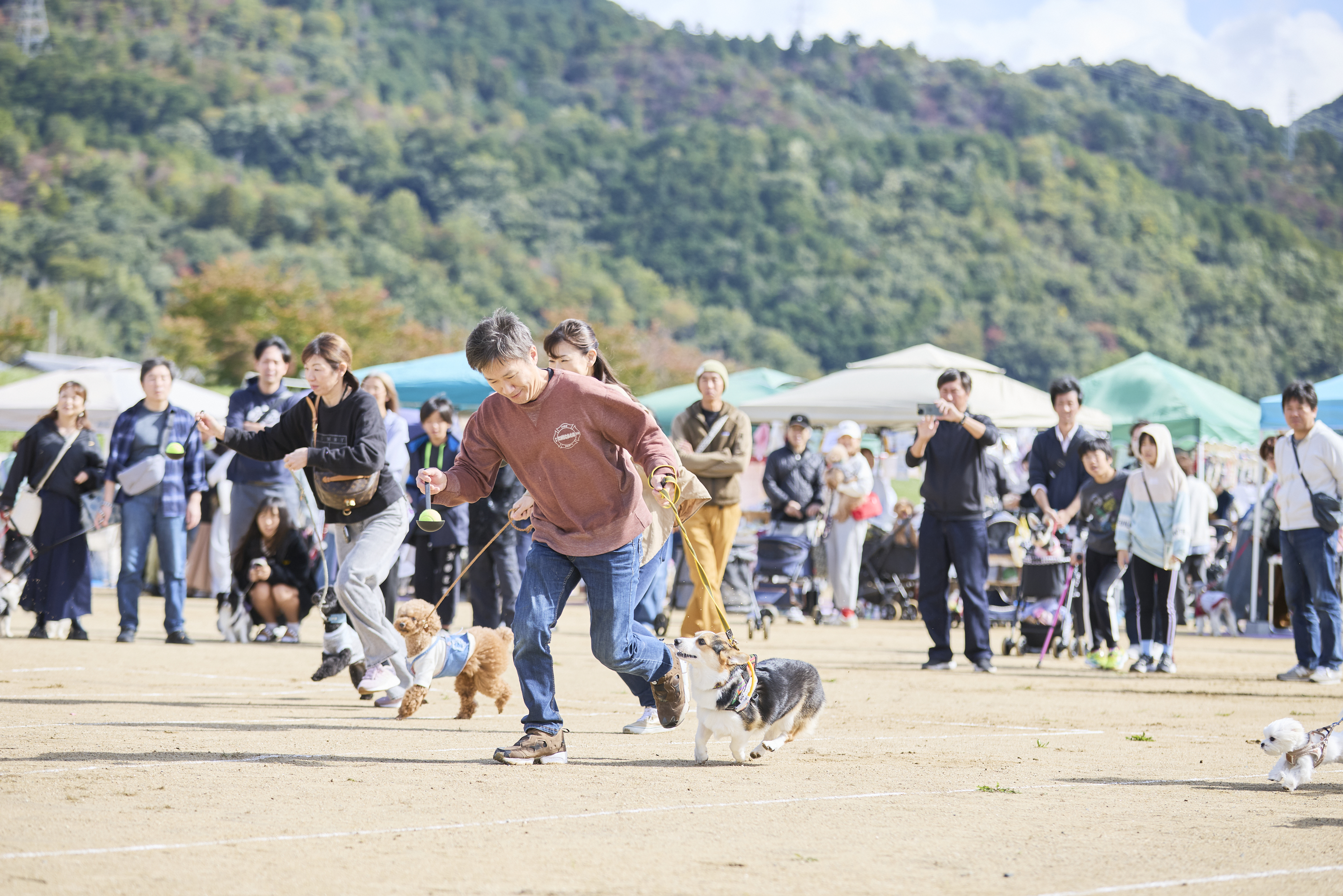 犬と一緒に走る参加者