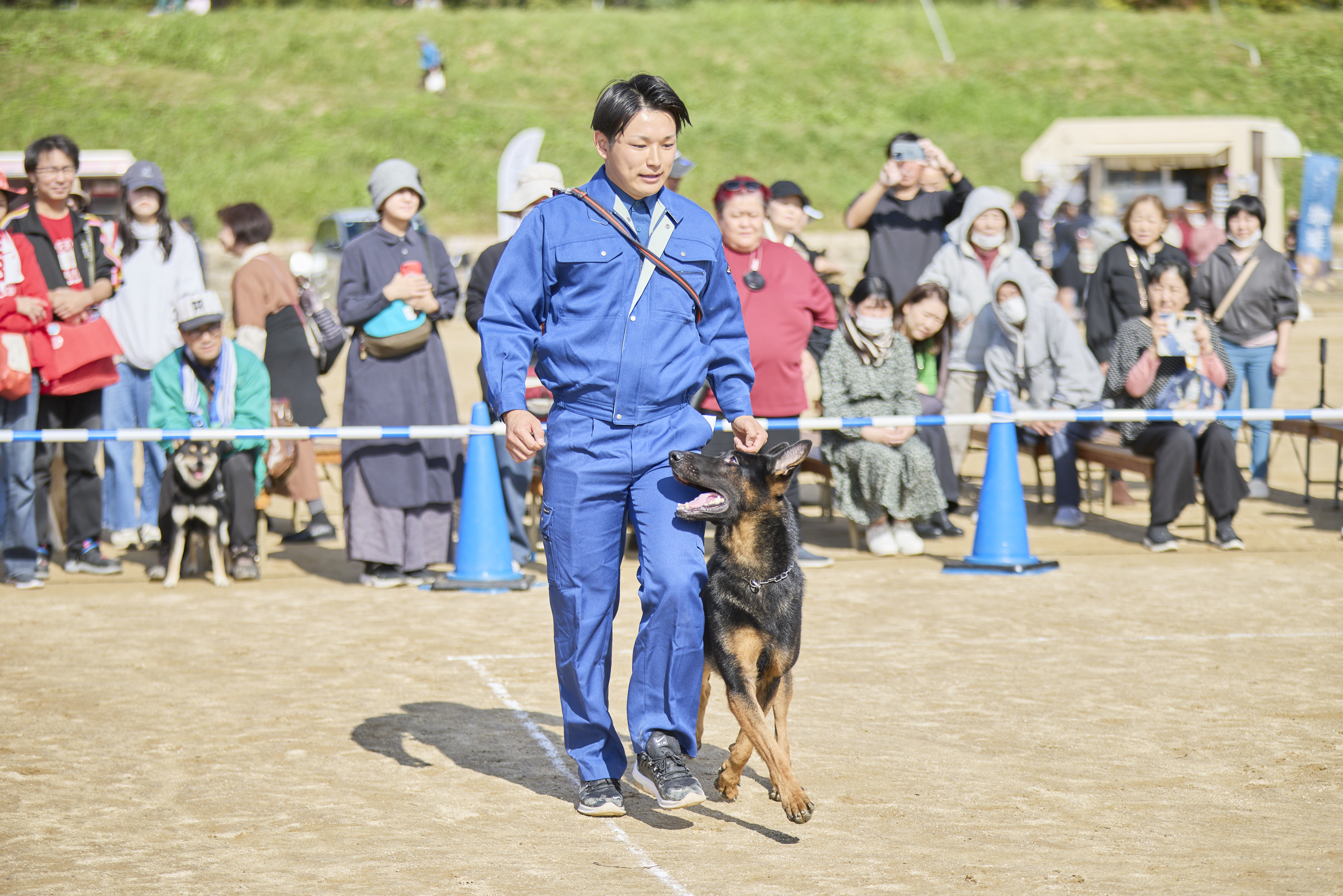 警察犬のデモンストレーションの様子