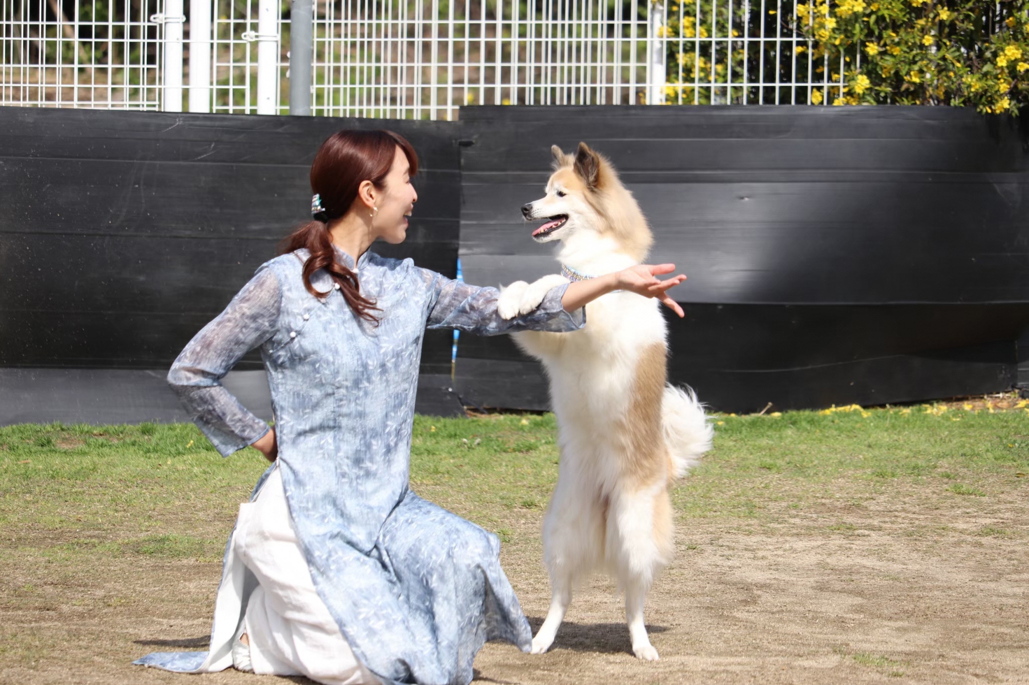 ドッグダンスをするダンサーと犬