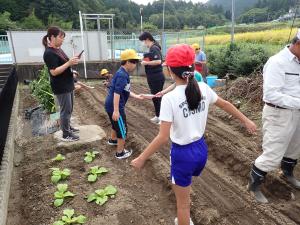 冬野菜１