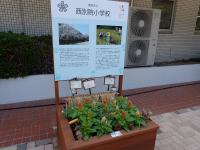 緑化７