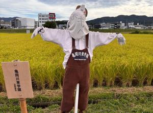 かかし