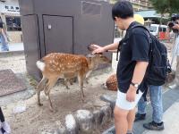 修学旅行5