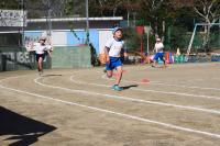 フェス２