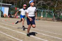フェス3