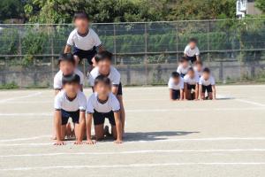 taiiku55