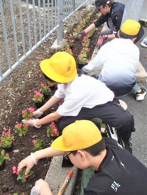 花植え