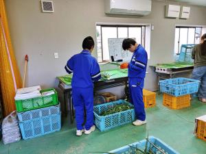 職場体験3