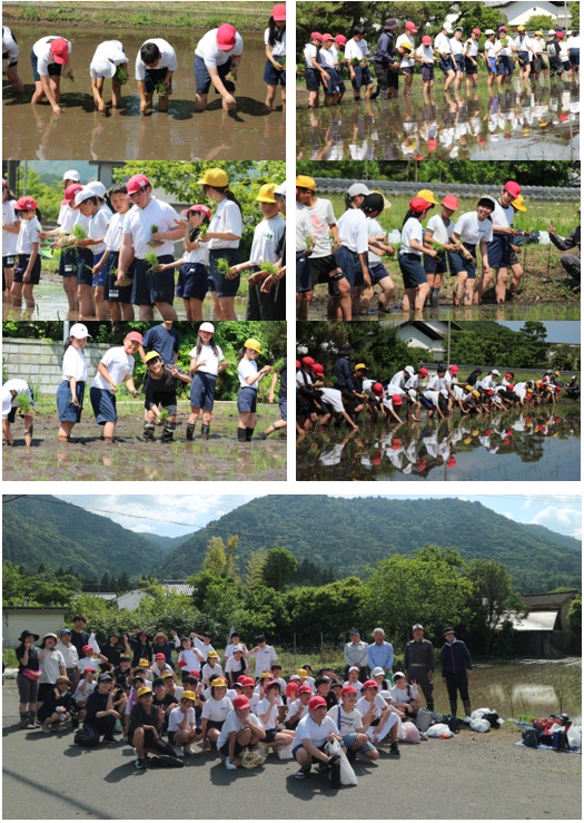 令和8年5月25日(月曜日) 2ndステージ田植え