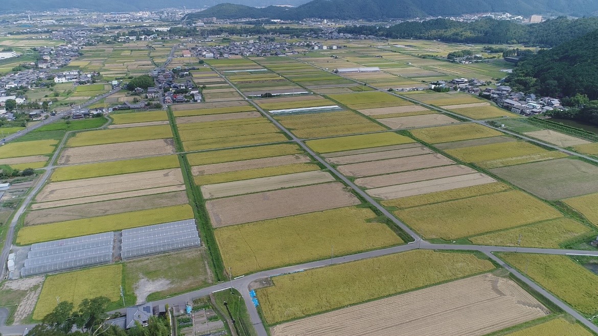 国営緊急農地再編整備事業