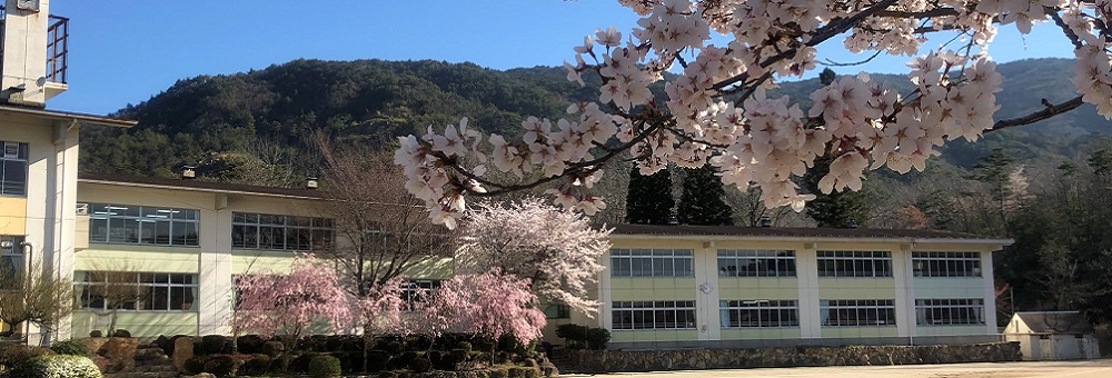 亀岡市立畑野小学校のタイトル画像