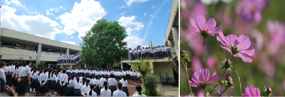 亀岡市立詳徳中学校のタイトル画像